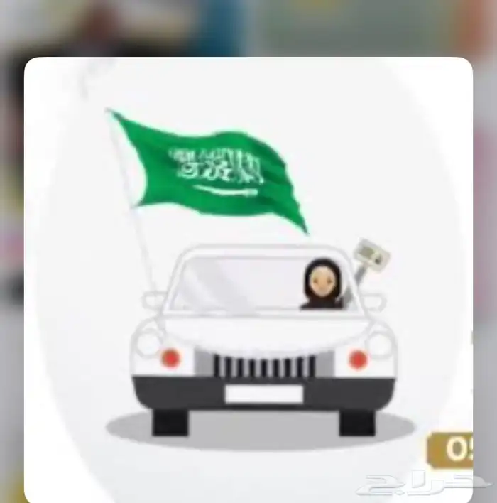 مدربة قيادة 0