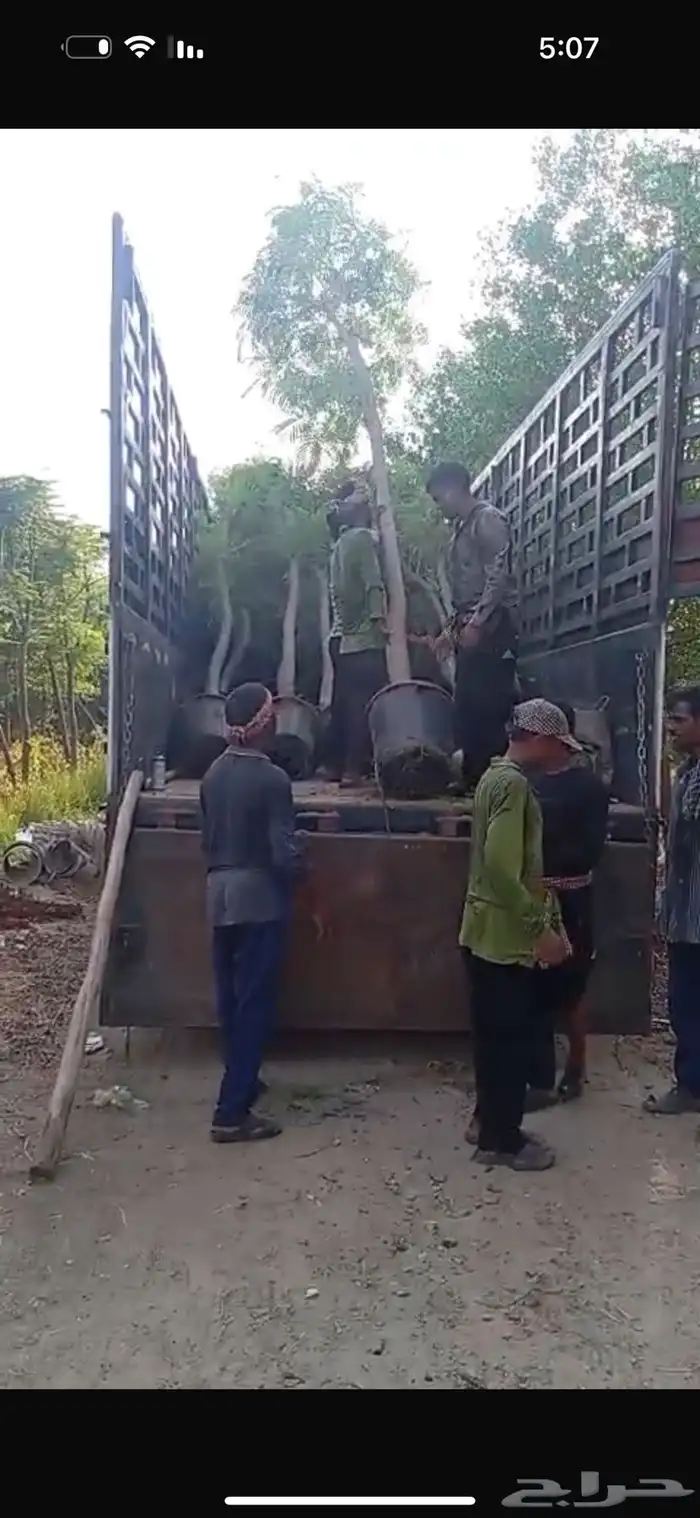 بنسيانا 4 و5 بوصة وارتفاع 5 و6 متر مراكن 65 متحركة وجاهزة 0