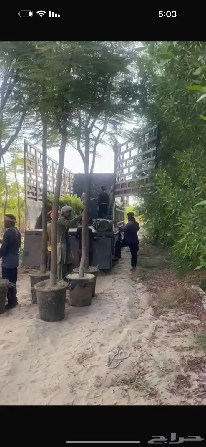 بنسيانا 4 و5 بوصة وارتفاع 5 و6 متر مراكن 65 متحركة وجاهزة 7