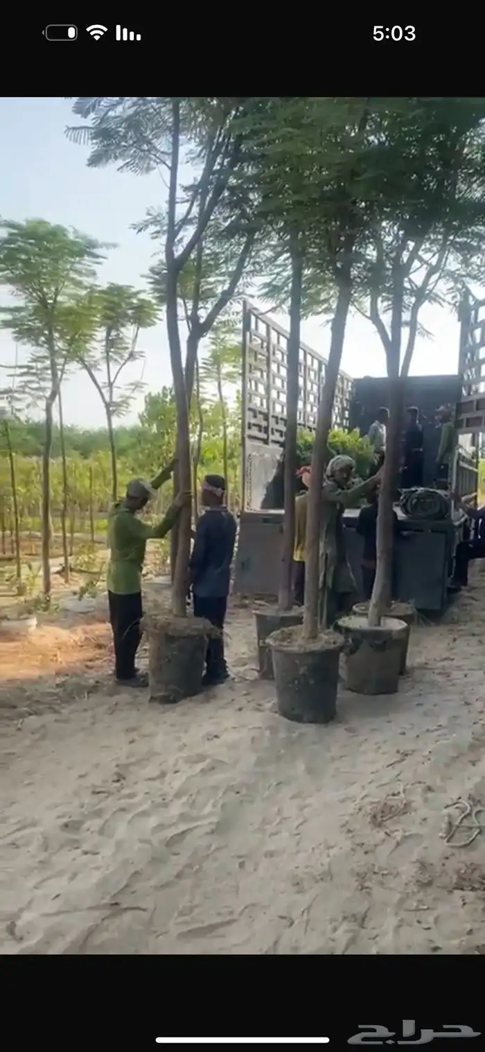 بنسيانا 4 و5 بوصة وارتفاع 5 و6 متر مراكن 65 متحركة وجاهزة 8