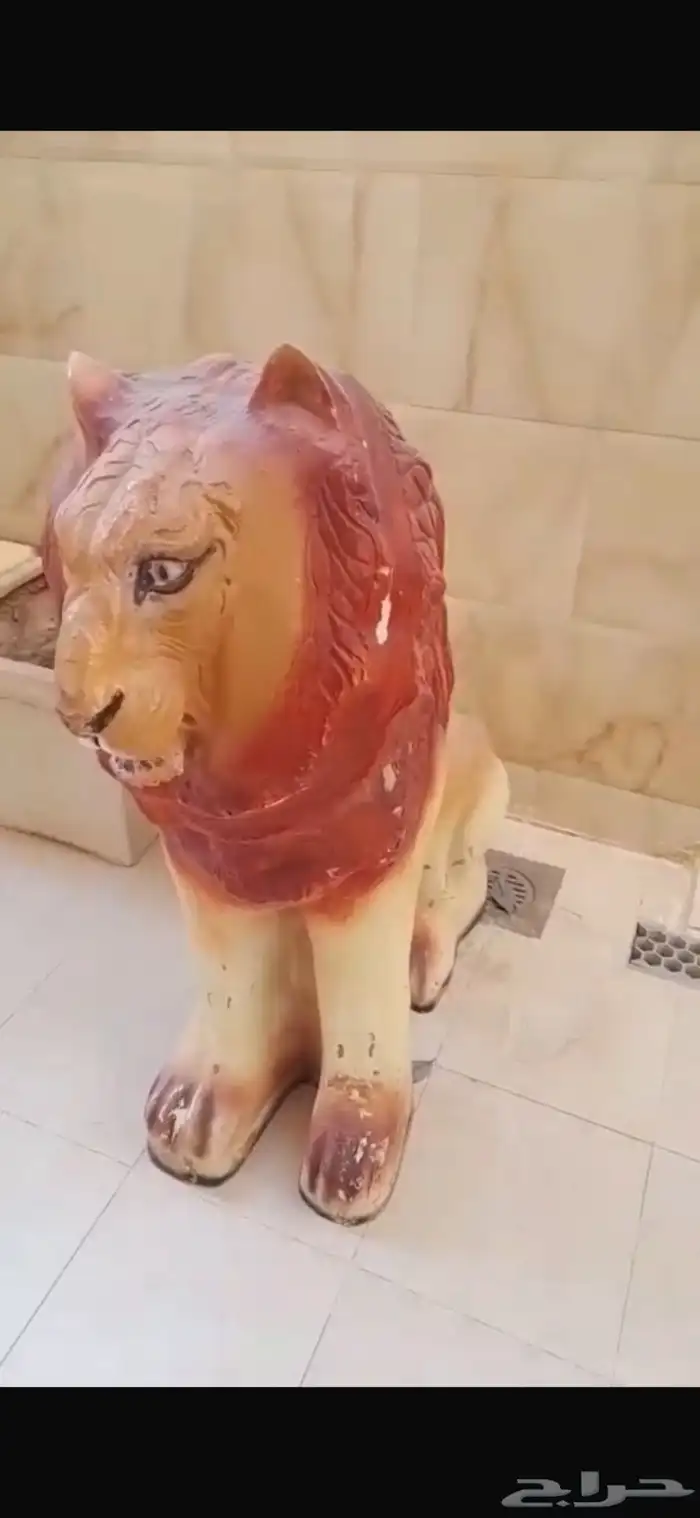 للبيع اسد فيبر جلاس حجم كبير 1