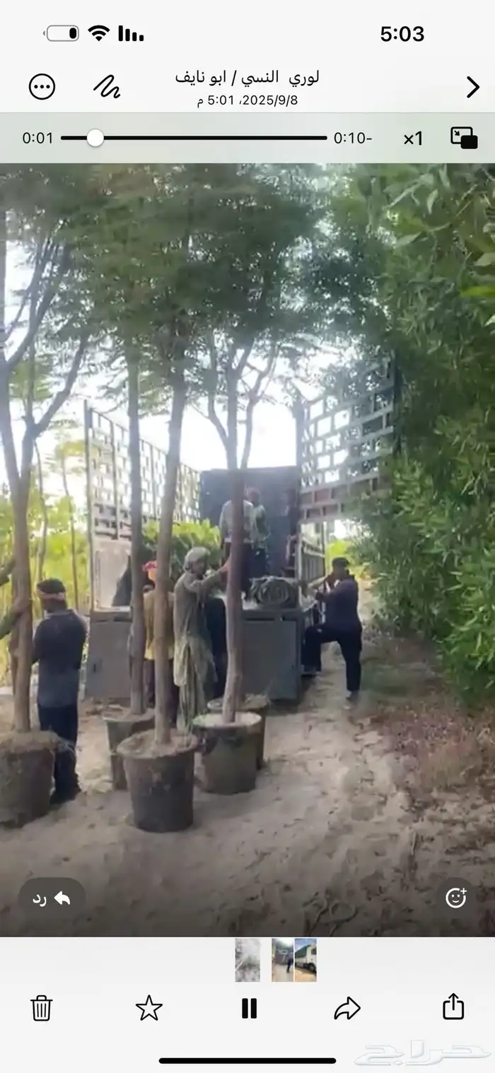 بنسيانا 4 و5 بوصة وارتفاع 5 و6 متر مراكن 65 متحركة وجاهزة 6