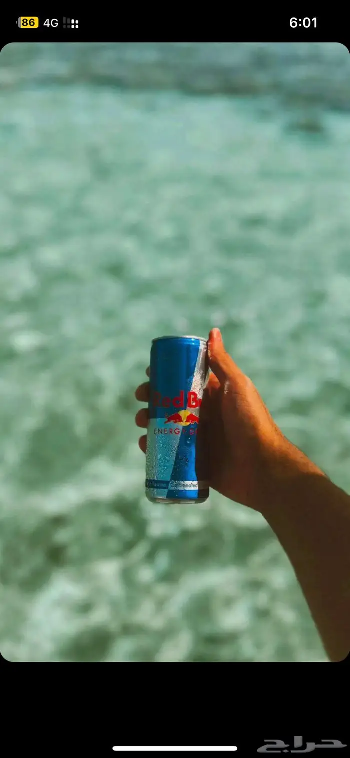 رحلات بحرية جدة جزيرة بياضه قارب جديد 2026 17