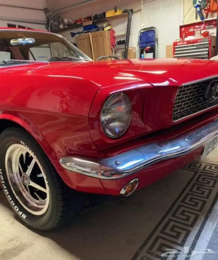 للبيع موستنق موديل 1966 قير عادي Ford mustang اعلان 4120 2