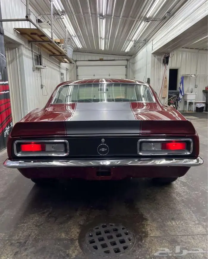 للبيع كومارو 327 موديل 1967 Chevrolet camaro اعلان 4121 6