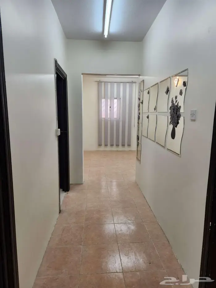 للايجار شقه كبيره مثل الدور بسطح 1