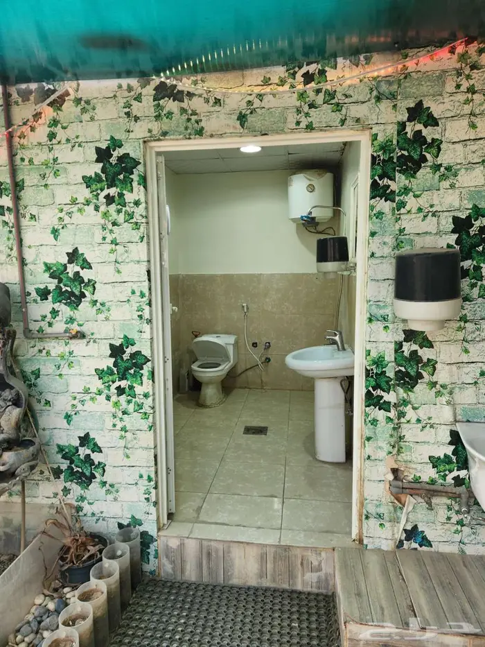 للايجار شقه كبيره مثل الدور بسطح 7