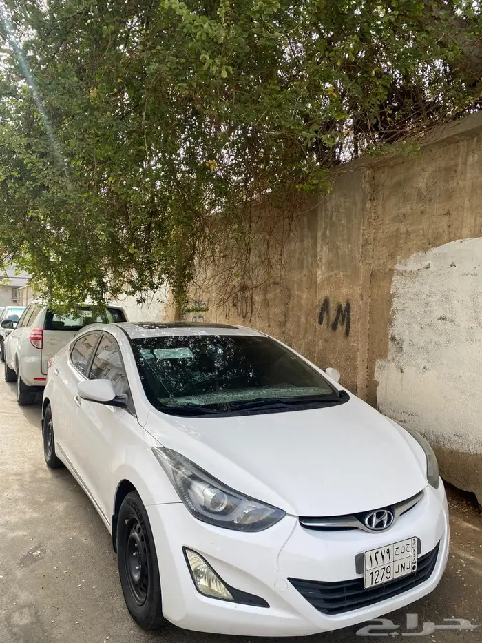 النترا2015 3