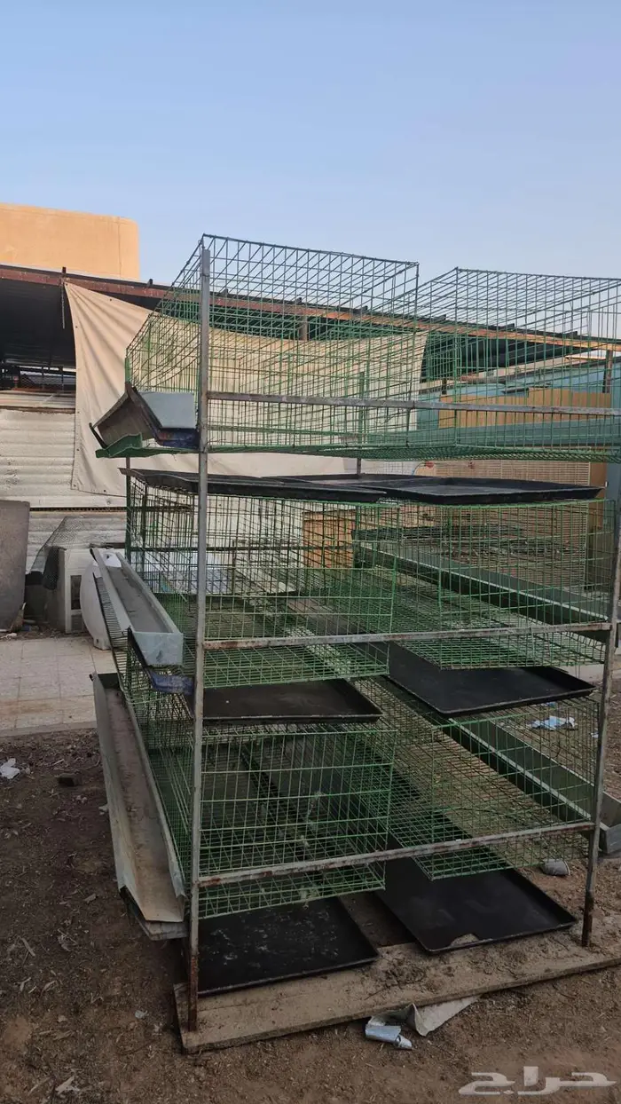 بطاريات دجاج بياض وسمان 6
