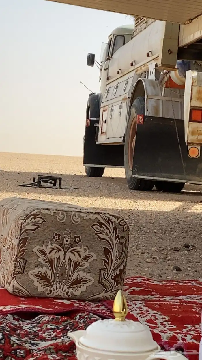 وايت بوز 75 1
