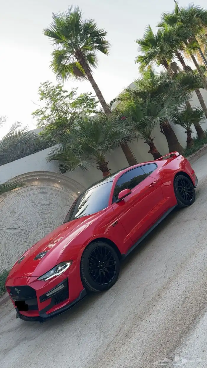موستنق 2019 فل كامل 2