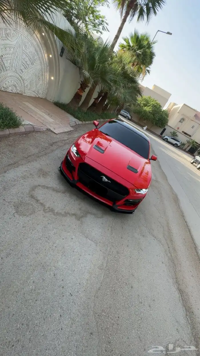 موستنق 2019 فل كامل 3
