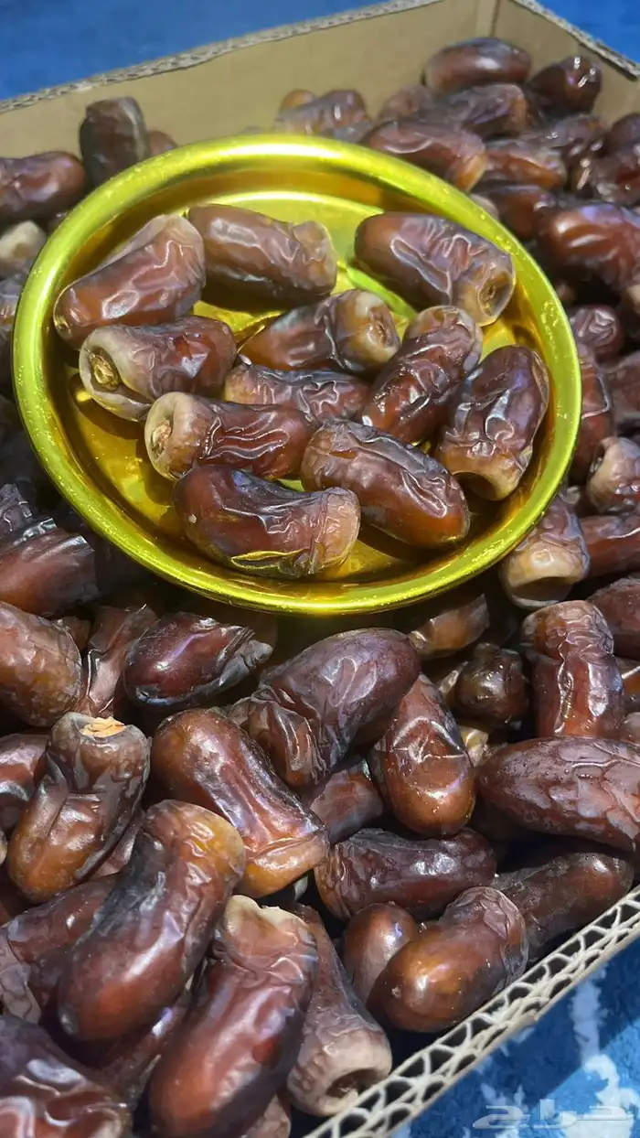 تمر برني مزارع الفرع 0