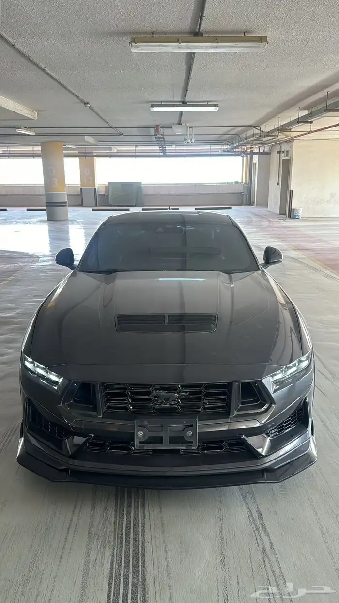 موستنق دارك هورس 2024 2