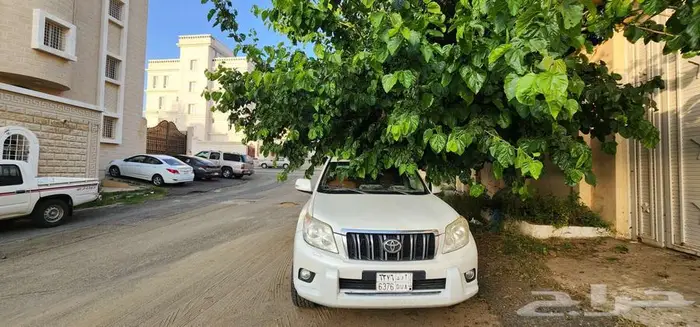 برادوا 2010 0