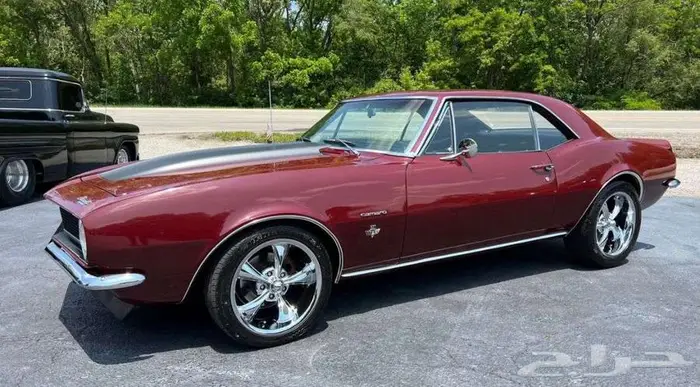 للبيع كومارو 327 موديل 1967 Chevrolet camaro اعلان 4121 5