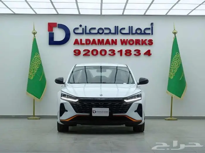 دونج فينج شاين E1 2025 جديد وحصري 3