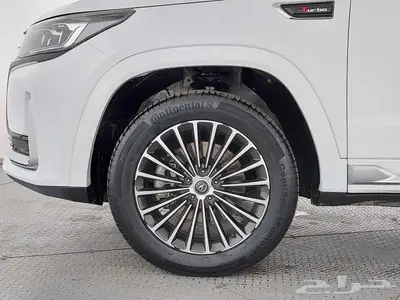 شانجان CS95 Royal 2022 Double index