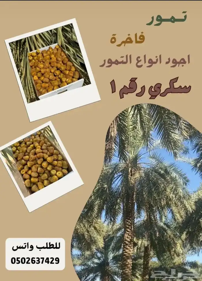 للبيع تمر سكري 65 ريال 0