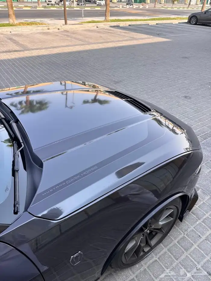 موستنق دارك هورس 2024 16