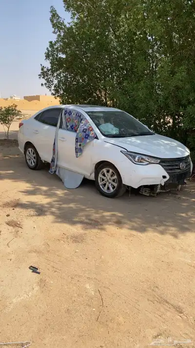 شانجان السفن 2025 index