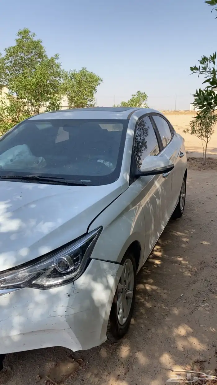 شانجان السفن 2025 2