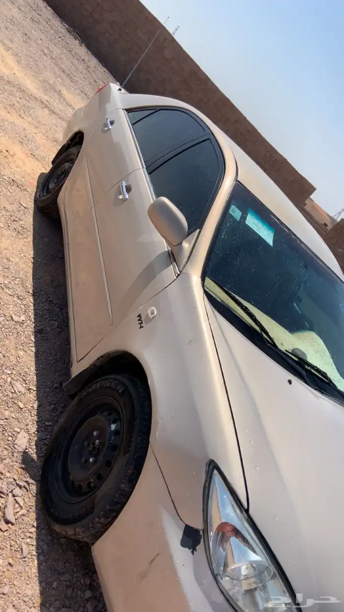 الحايط 1