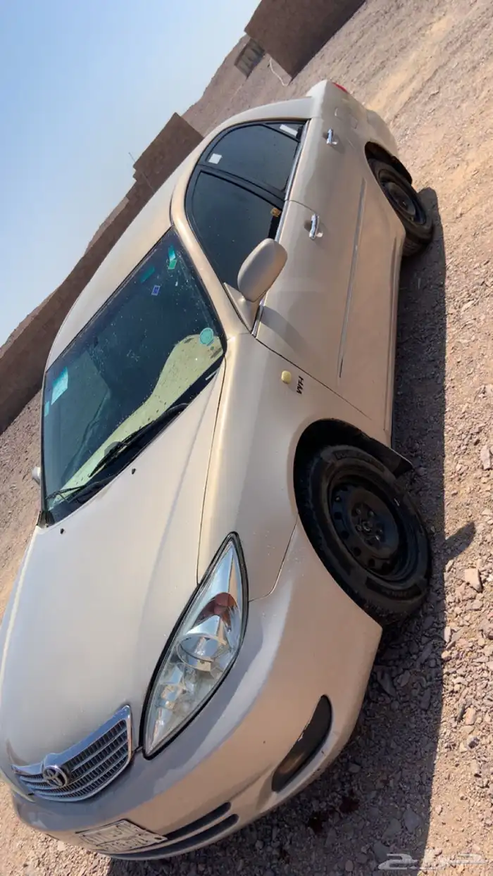 الحايط 0