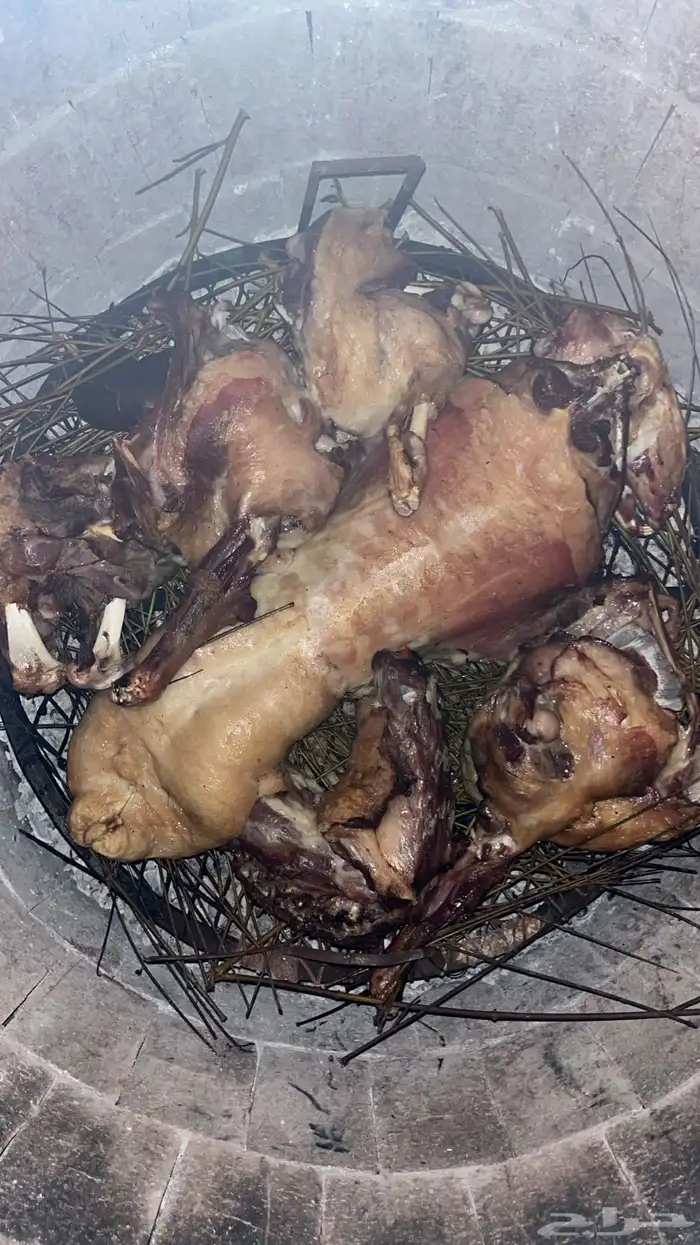 طليان حري وتيوس عوارض وبيشي مع الذبح والطبخ والتوصيل 0