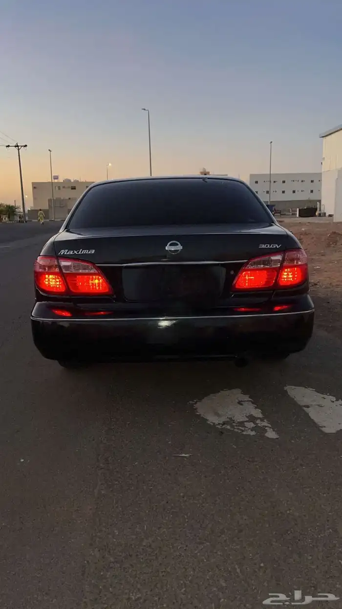 اعرض لكم مكسيما 2000 4