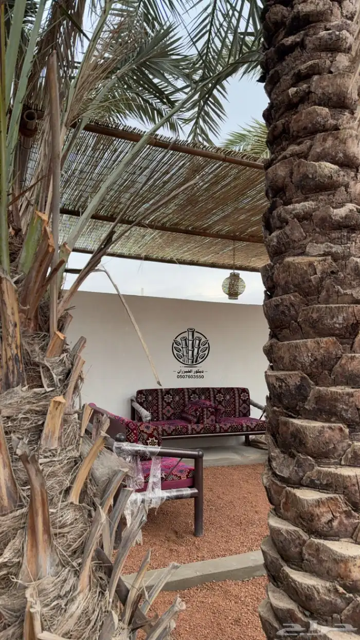 خيزران ديكور 6