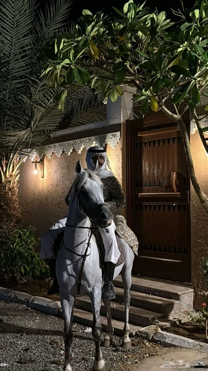 استعراض خيل لليوم الوطني والتأسيس والتراث 2