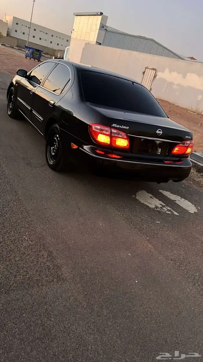 اعرض لكم مكسيما 2000 3