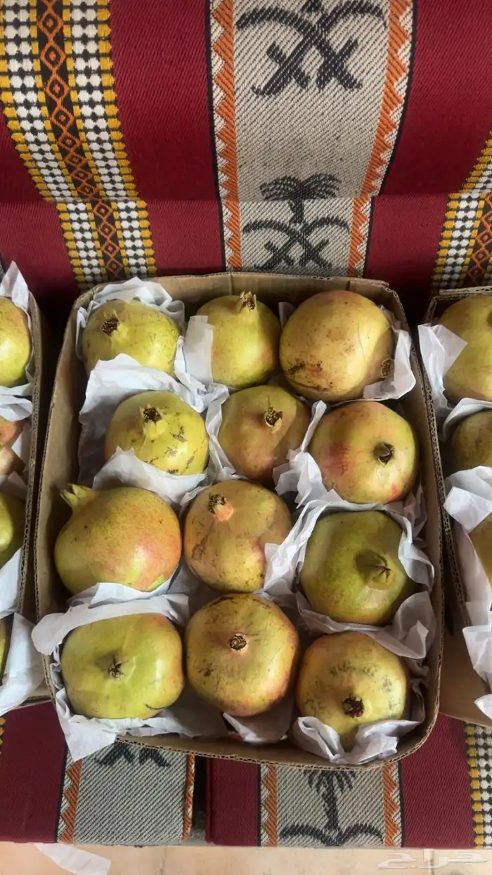 رمان جوف ال معمر 2