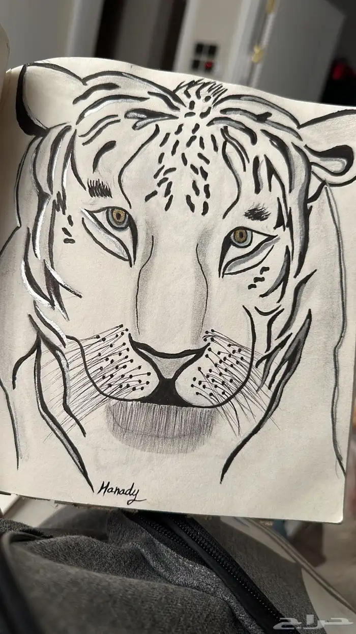رسامه   خطاطة 8