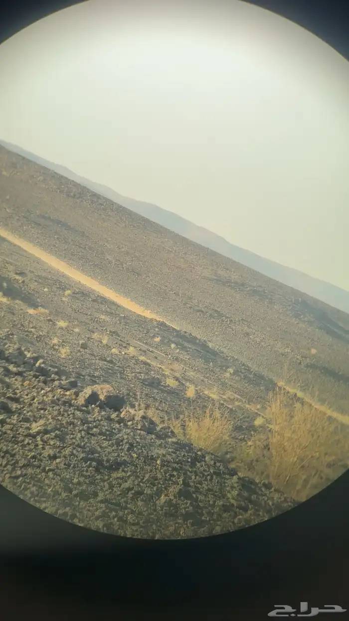 سوار ابومحاله 8 30 نضيف 2