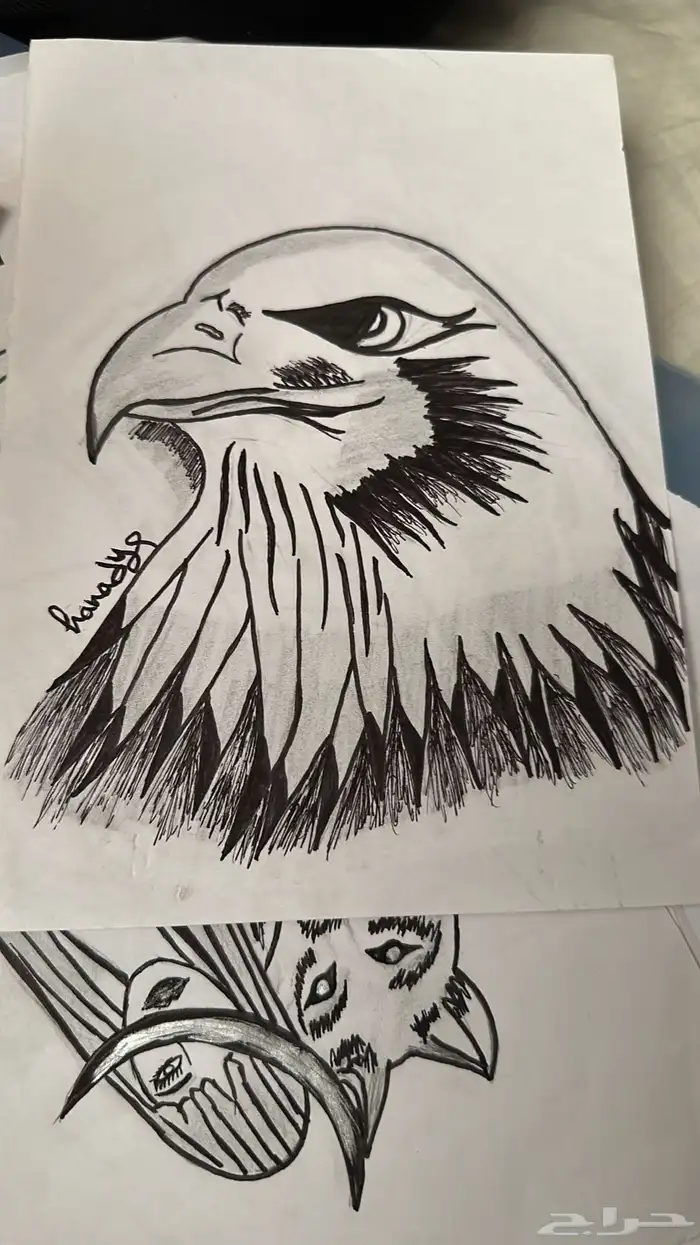 رسامه   خطاطة 9