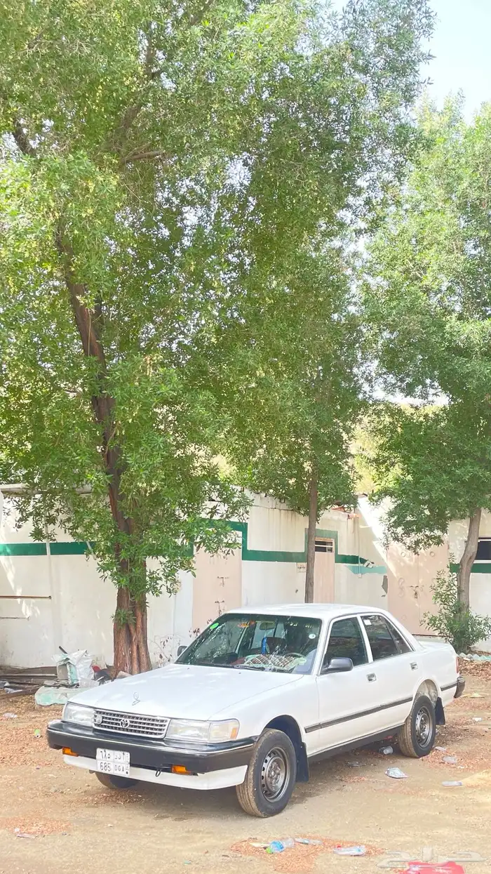 كرسيدا للبيع 4