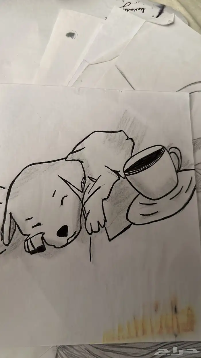 رسامه   خطاطة 6