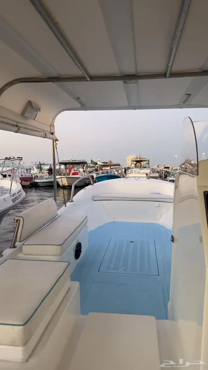 كايلو للبيع 8.80 2