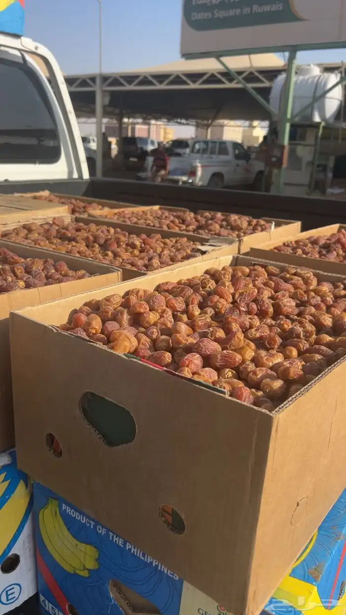 تمر خلاص وادي حبه طيبه 0