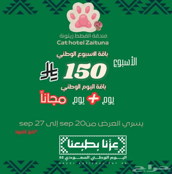 عروض يوم الوطني على الفندقة القطط 0