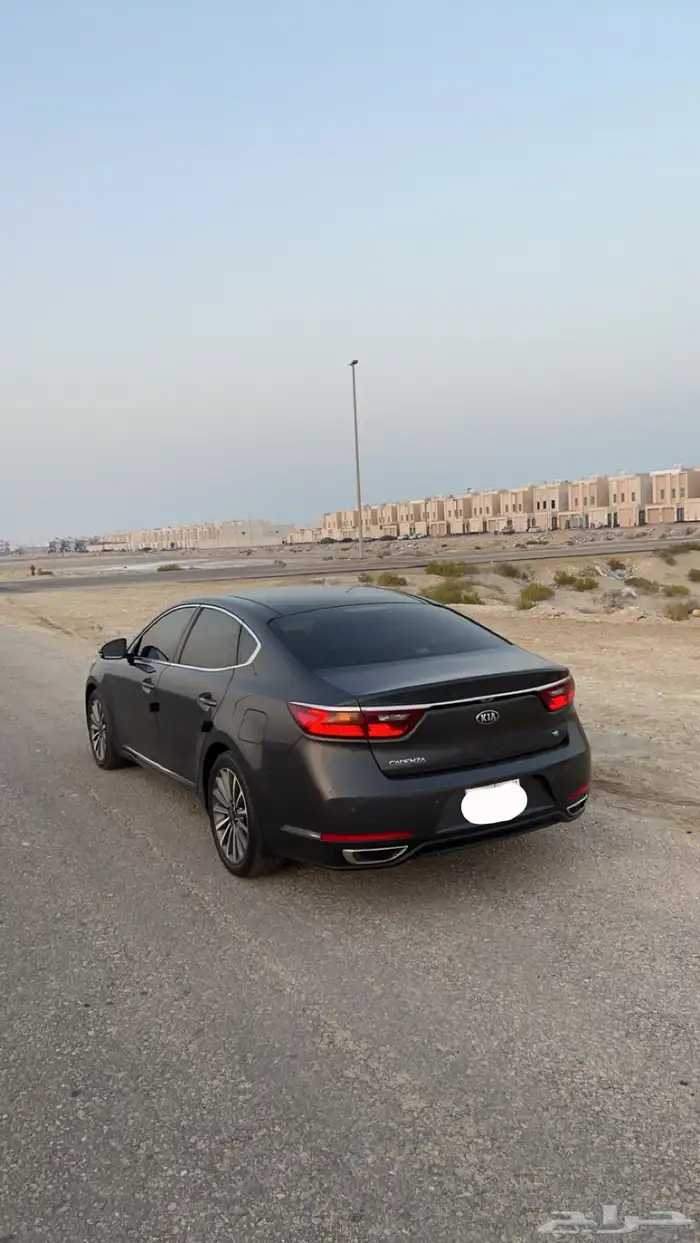 كادينزا 2018 1