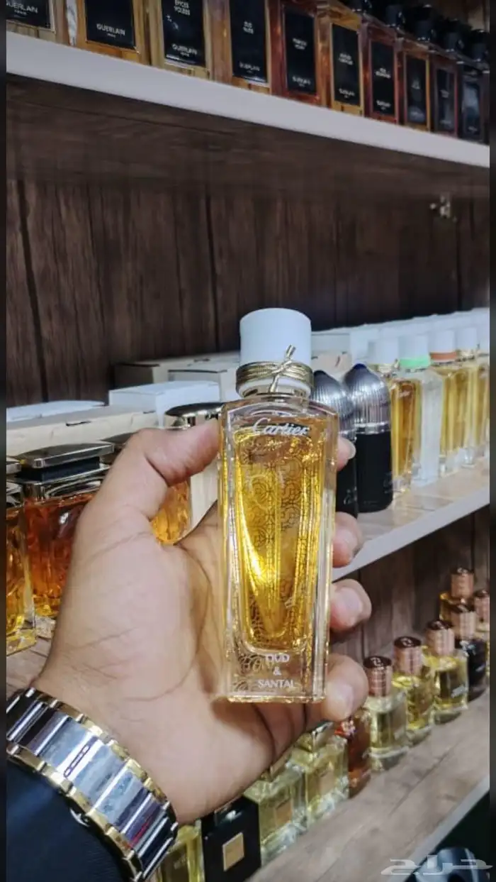نوفر جميع انواع العطور والتجميل باسعار الجمله لاتفوتكم 12