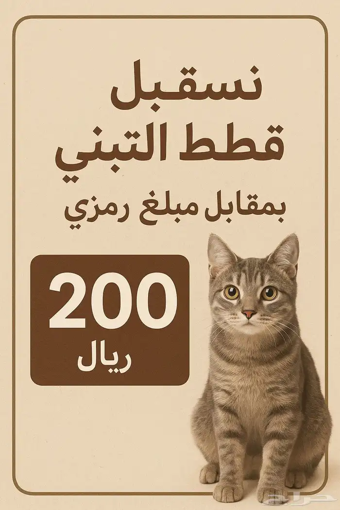 نستقبل قطط التبني 0