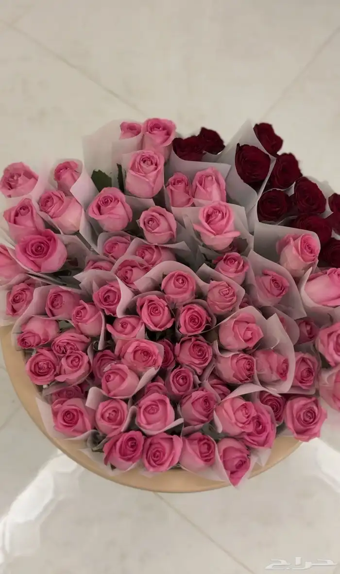 ورد طبيعي جمله . يوجد توزيعات بسعر الجمله 0