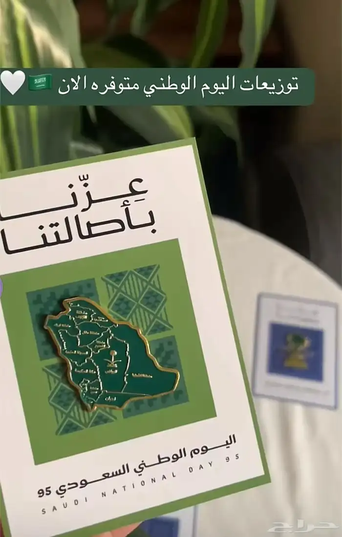 اليوم الوطني 0