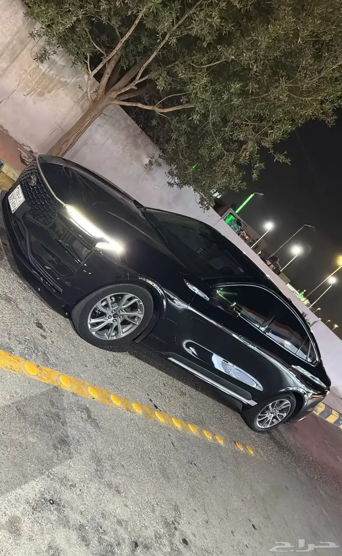 تورس 2024 2