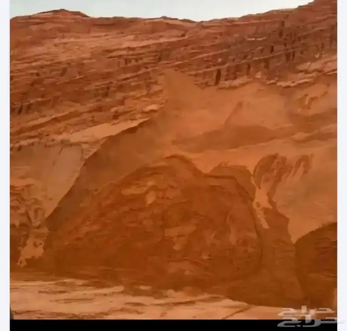 توريد بطحا رمل دفآن 0