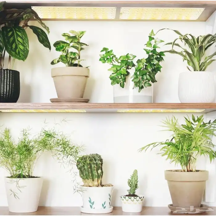 الواح اضاءة 2 مخصصة للزراعة و حوض السمك 2